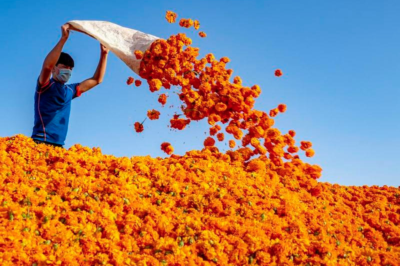 Better lives in Xinjiang villages refute 'forced labor' allegations
