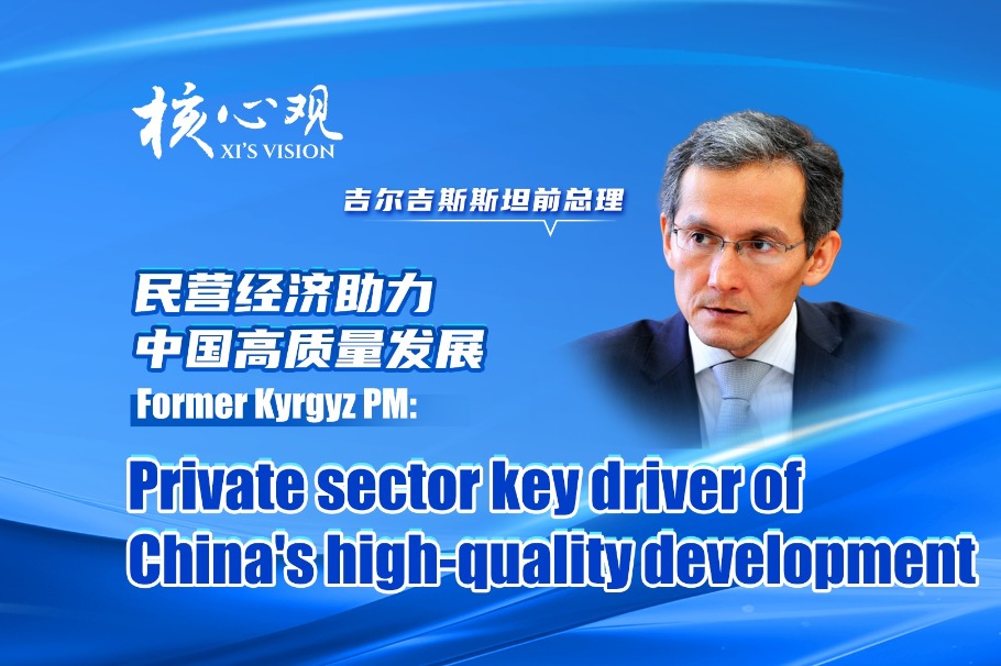 Private sector key driver of China's high-quality development