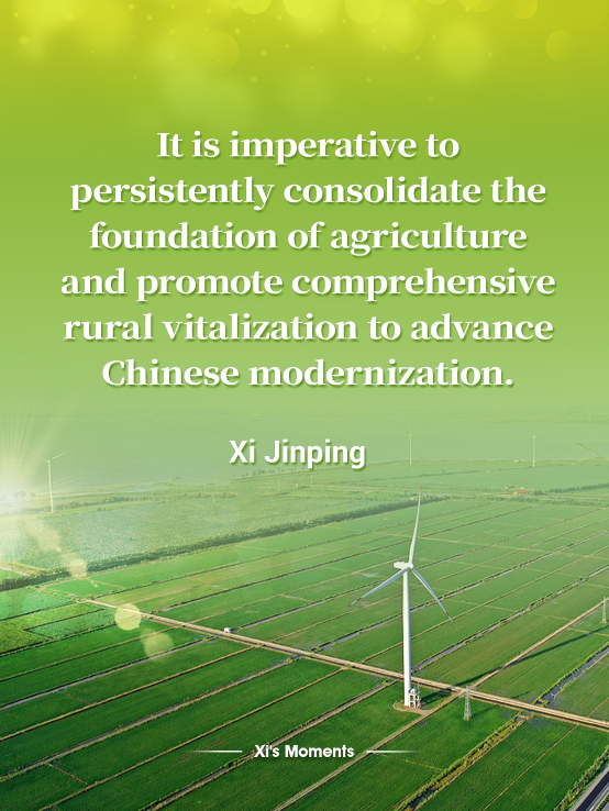Xi's remarks on all-round rural vitalization